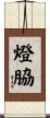 燈脇 Scroll
