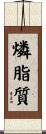 燐脂質 Scroll