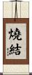 燒結 Scroll