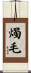 燭毛 Scroll