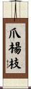 爪楊枝 Scroll