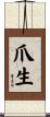 爪生 Scroll
