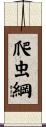 爬虫綱 Scroll