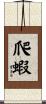 爬蝦 Scroll