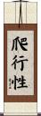 爬行性 Scroll