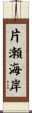片瀬海岸 Scroll