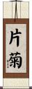 片菊 Scroll
