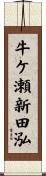 牛ケ瀬新田泓 Scroll