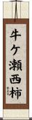 牛ケ瀬西柿 Scroll