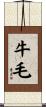 牛毛 Scroll