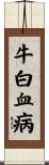 牛白血病 Scroll