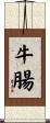 牛腸 Scroll