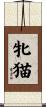 牝猫 Scroll