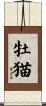 牡猫 Scroll