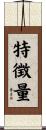 特徴量 Scroll
