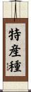特産種 Scroll