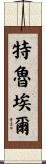 特魯埃爾 Scroll