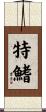 特鰭 Scroll