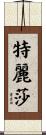 Teresa Scroll