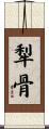 犁骨 Scroll