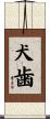 犬歯 Scroll