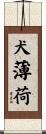 犬薄荷 Scroll