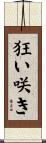 狂い咲き Scroll