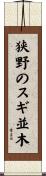 狭野のスギ並木 Scroll