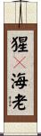 猩々海老 Scroll