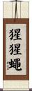 猩猩蠅 Scroll