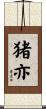 猪亦 Scroll