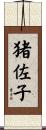 猪佐子 Scroll