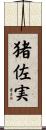 猪佐実 Scroll