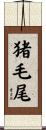 猪毛尾 Scroll