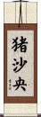 猪沙央 Scroll