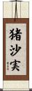 猪沙実 Scroll