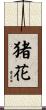 猪花 Scroll
