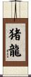 猪龍 Scroll