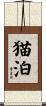 猫泊 Scroll