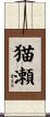 猫瀬 Scroll