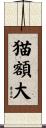 猫額大 Scroll