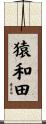 猿和田 Scroll