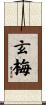 玄梅 Scroll