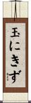 玉にきず Scroll