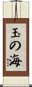 玉の海 Scroll