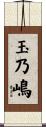 玉乃嶋 Scroll