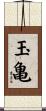 玉亀 Scroll