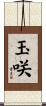 玉咲 Scroll