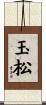 玉松 Scroll