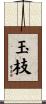 玉枝 Scroll